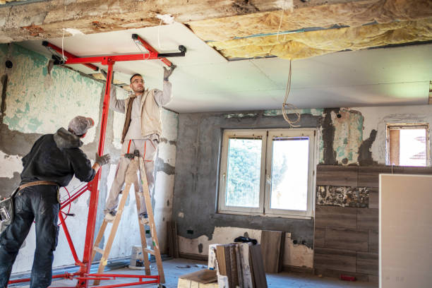 Best Commercial Insulation in Apex, NC