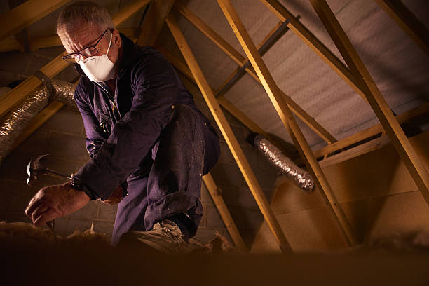Types of Insulation We Offer in Apex, NC