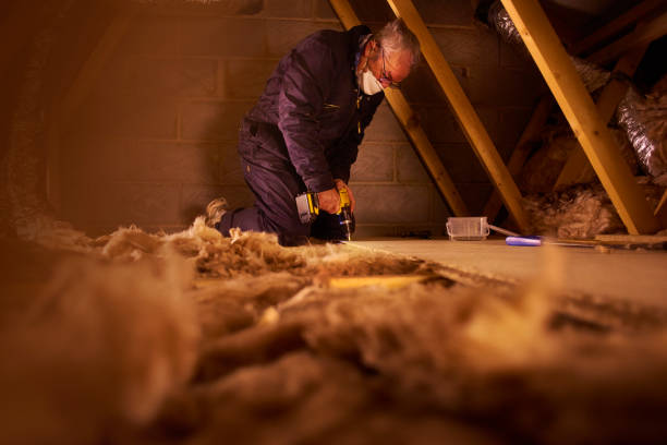 Best Cellulose Insulation in Apex, NC