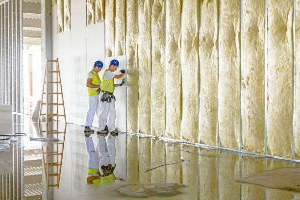 Best DIY Insulation Kits and Guidance in Apex, NC
